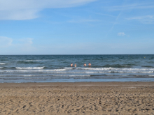 PXL_20260504_164030554