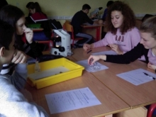 delavnice_IOS_2017_005