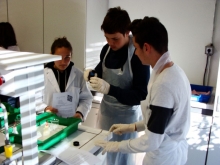 delavnice_I-OS-RS_004