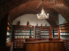 Skupaj_s_Prvo_jan2017_028