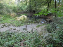 GEO_Cerknisko_2015_001