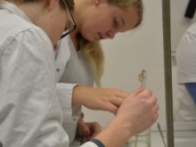 nar_dan_okt_2016_004