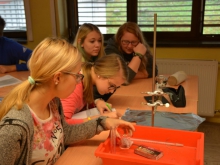 nar_dan_okt_2016_020