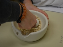 nar_dan_okt_2016_040