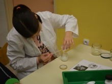 nar_dan_okt_2016_049