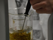 nar_dan_okt_2016_051