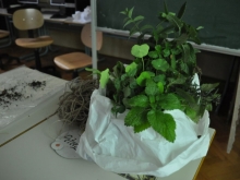 naravoslovni_dan_004