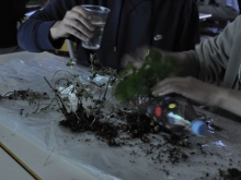 naravoslovni_dan_011