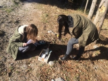 trije_kralji_2017_001