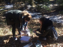 trije_kralji_2017_004