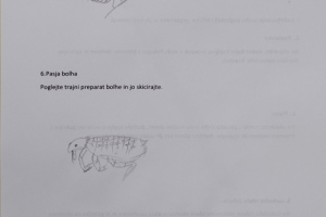 POGLEDI SKOZI STEKLO 2026