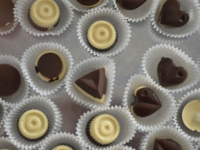 Prijateljfest_2016_013