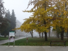 izmenjava_Pregrada_okt_2019_002