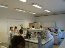 proj2016_dan_2_3_019