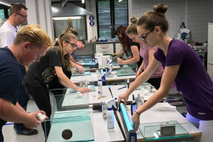 SEMINAR UV-LEPLJENJA