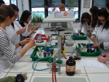 Skupaj_s_Prvo_2017_RS_020