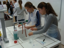 Skupaj_s_Prvo_2017_RS_030