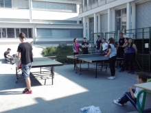 sportni_dan_maj_2017_009