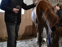 sportni_dan_05-12_2019_001