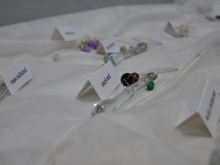 mescanska_zargon_2016_006